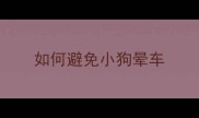如何避免小狗晕车