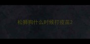 松狮狗什么时候打疫苗