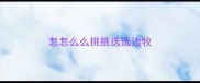 怎怎么么挑挑选选边牧