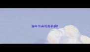 猫咪耳朵后面有癣