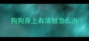 狗狗身上有浓包怎么办