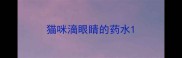 猫咪滴眼睛的药水