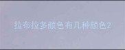 拉布拉多颜色有几种颜色