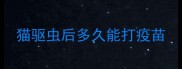猫驱虫后多久能打疫苗