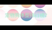 宠物狗体型排行榜