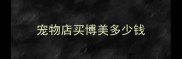 宠物店买博美多少钱