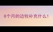 8个月的边牧补充什么