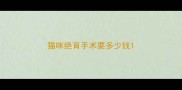 猫咪绝育手术要多少钱