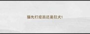 猫先打疫苗还是狂犬