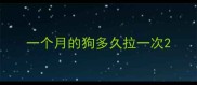 一个月的狗多久拉一次