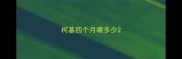 柯基四个月喂多少