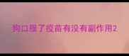 狗口服了疫苗有没有副作用