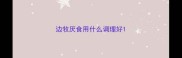 边牧厌食用什么调理好