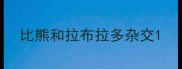 比熊和拉布拉多杂交