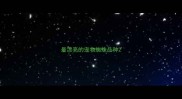 最漂亮的宠物蜘蛛品种