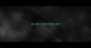 哈士奇小的贵还是大的