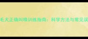 金毛犬正确叫唤训练指南科学方法与常见误区