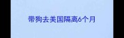 带狗去美国隔离6个月