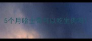 5个月哈士奇可以吃生肉吗