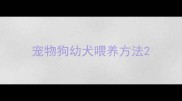 宠物狗幼犬喂养方法