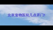 北京宠物医院几点开门