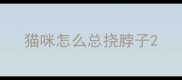 猫咪怎么总挠脖子