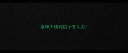 猫咪大便有虫子怎么办