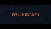 狗狗烂眼睛烂鼻子
