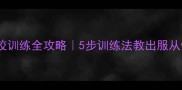 拉布拉多扑咬训练全攻略5步训练法教出服从性强的护卫犬