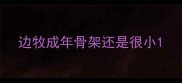 边牧成年骨架还是很小