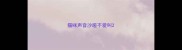 猫咪声音沙哑不爱叫