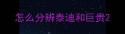 怎么分辨泰迪和巨贵