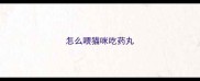 怎么喂猫咪吃药丸