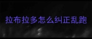拉布拉多怎么纠正乱跑
