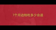 7个月边牧吃多少合适