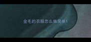 金毛的衣服怎么做简单