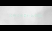 拉布拉多是什么类型