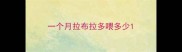 一个月拉布拉多喂多少
