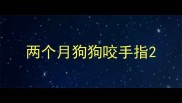 两个月狗狗咬手指