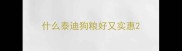 什么泰迪狗粮好又实惠