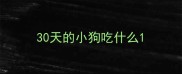 30天的小狗吃什么