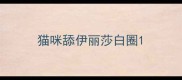 猫咪舔伊丽莎白圈