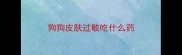 狗狗皮肤过敏吃什么药