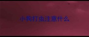 小狗打虫注意什么