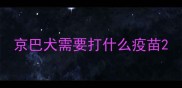 京巴犬需要打什么疫苗