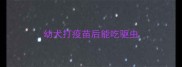 幼犬打疫苗后能吃驱虫