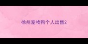 徐州宠物狗个人出售