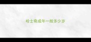 哈士奇成年一般多少岁