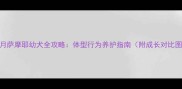 7个月萨摩耶幼犬全攻略体型行为养护指南附成长对比图