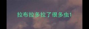 拉布拉多拉了很多虫